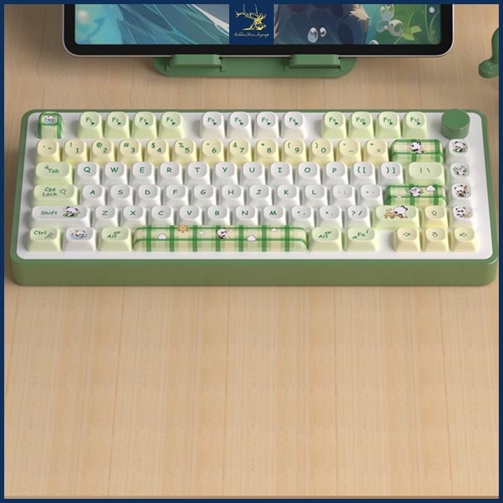Bàn phím cơ sử dụng keycap MOA PBT xanh trắng