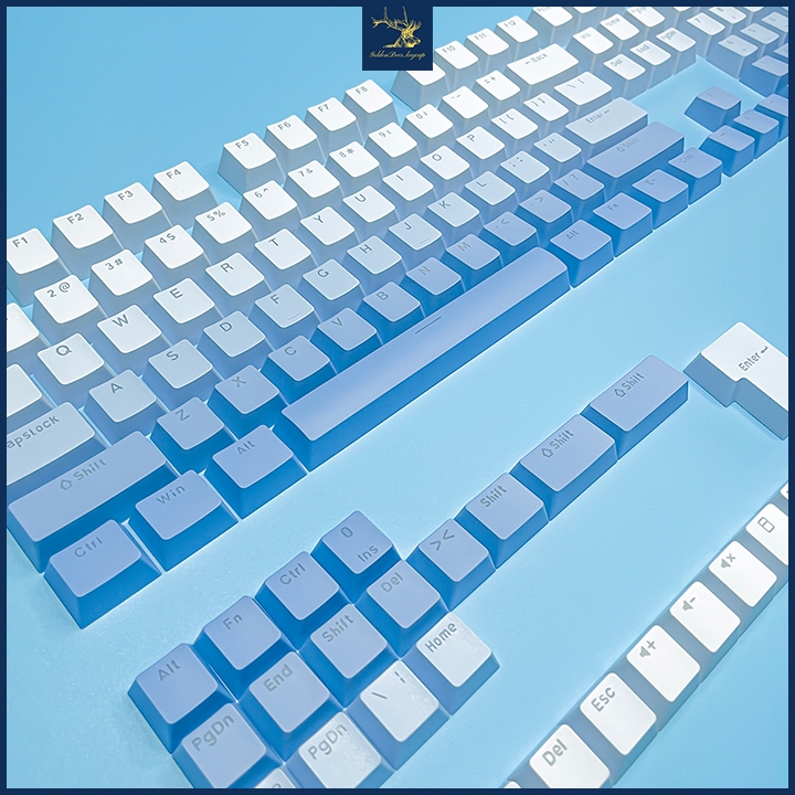 Bàn phím cơ sử dụng keycap Polar OEM màu xanh