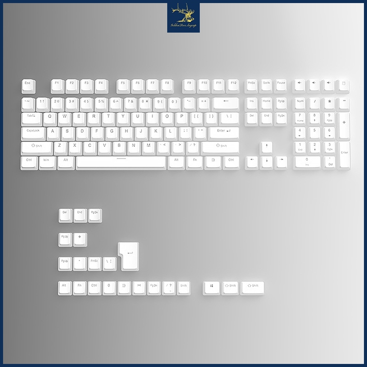 Bộ keycap Pudding xuyên LED PBT màu trắng