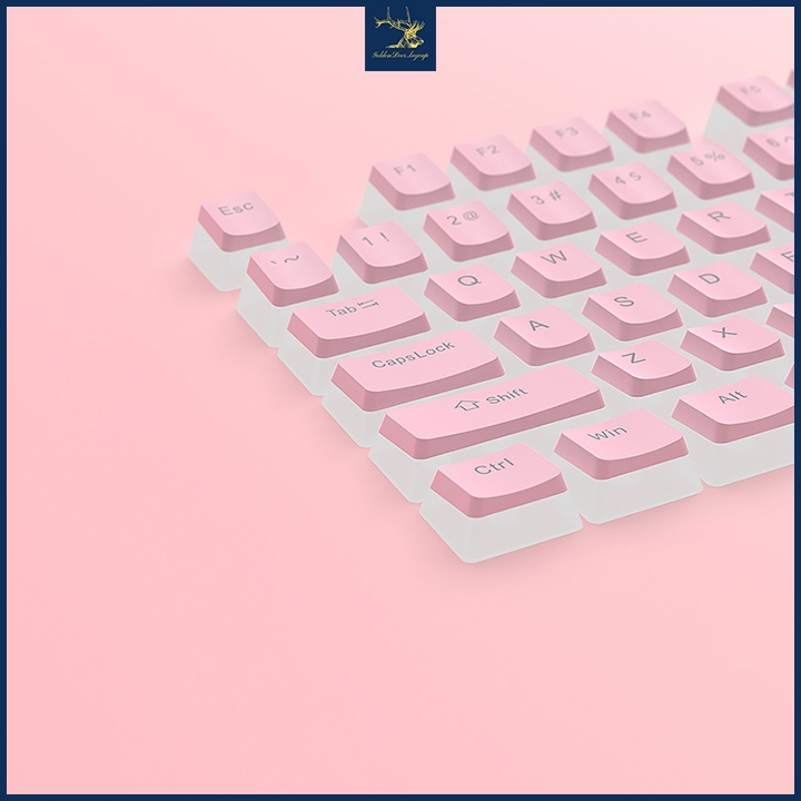 Keycap Pudding xuyên LED màu hồng góc nghiên