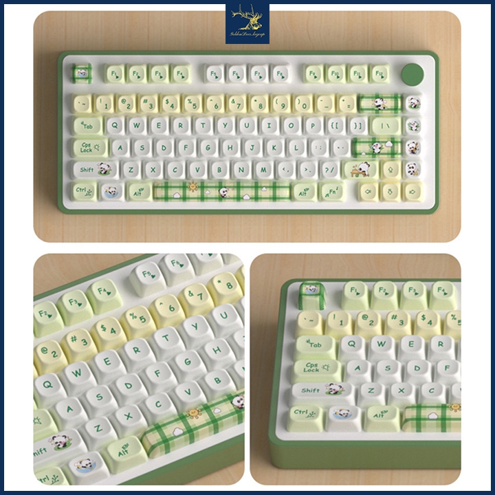 Cận cảnh keycap MOA PBT màu xanh trắng