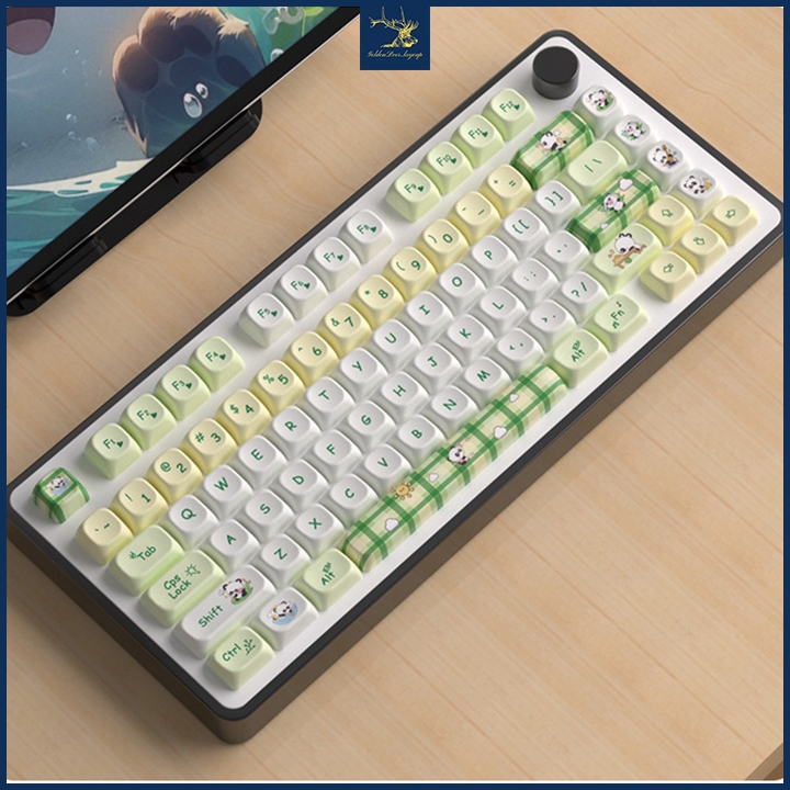 Keycap MOA PBT xanh trắng lắp trên bàn phím cơ
